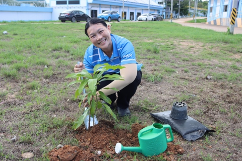 ไฟล์แนบ กปภ.สาขาชลบุรี (พ) กปภ.ปลูกป่าเพื่อแผ่นดิน เทิดพระเกียรติพระบาทสมเด็จพระบรมชนกาธิเบศร มหาภูมิพลอดุลยเดชมหาราช บรมนาถบพิตร (Fathers Land) ปี 2569