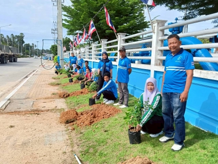 ไฟล์แนบ การประปาส่วนภูมิภาคสาขาสายบุรี ร่วมใจปลูกต้นทองอุไร เนื่องใน "วันต้นไม้ประจำปีของชาติ พ.ศ. 2569" เพิ่มพื้นที่สีเขียว คืนความสดใสให้องค์กรและชุมชน