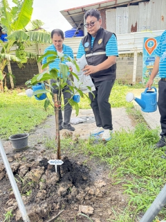ไฟล์แนบ การประปาส่วนภูมิภาคสาขาธัญบุรี จัดโครงการ กปภ.ปลูกป่าเพื่อแผ่นดิน เทิดพระเกียรติพระบาทสมเด็จพระบรมชนกาธิเบศร มหาภูมิพลอดุลยเดชมหาราช บรมนาถบพิตร (Father's Land) ประจำปี 2568