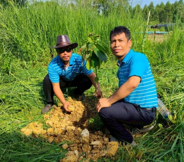 ไฟล์แนบ กปภ.สาขาบ้านบึง ร่วมใจปลูกป่าเพื่อแผ่นดิน 