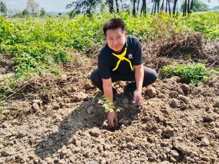 ไฟล์แนบ กปภ.สาขเทิง ร่วมกิจกรรมจิตอาสาพัฒนาปรับปรุงภูมิทัศน์และปลูกต้นไม้ เนื่องในโอกาสเนื่องในโอกาสวันพระบาทสมเด็จพระปกเกล้าเจ้าอยู่หัวและวันต้นไม้ประจำปีของชาติ พ.ศ.2569
