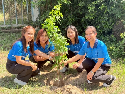 ไฟล์แนบ กปภ.สาขาพยุหะคีรี ดำเนินโครงการปลูกป่าเพื่อแผ่นดิน  ประจำปี 2569