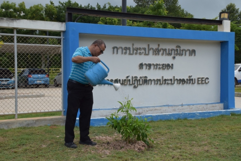ไฟล์แนบ กปภ.สาขาระยอง จัดโครงการ กปภ.ปลูกป่าเพื่อแผ่นดิน (Father's Land) ปี 2569