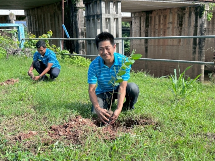 ไฟล์แนบ การประปาส่วนภูมิภาคสาขาหลังสวน ดำเนินงานโครงการ กปภ. ปลูกป่าเพื่อแผ่นดิน เทิดพระเกียรติพระบาทสมเด็จพระบรมชนกาธิเบศร มหาภูมิพลอดุลยเดชมหาราช บรมนาถบพิตร ปี 2569 