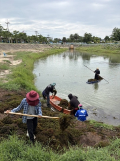 ไฟล์แนบ การประปาส่วนภูมิภาคสาขาเพชรบุรี ร่วมกันกำจัดวัชพืชแหล่งน้ำดิบ สถานีสูบน้ำแรงต่ำ และปรับภูมิทัศน์รอบสถานีผลิตน้ำ