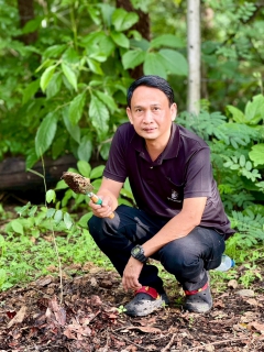 ไฟล์แนบ กปภ.สาขาแม่สอด จัดกิจกรรมโครงการ กปภ.ปลูกป่าเพื่อแผ่นดิน เทิดพระเกียรติพระบาทสมเด็จพระบรมชนกาธิเบศร มหาภูมิพลอดุลยเดชมหาราช บรมนาถบพิตร (Fathers Land) ปี 2569
