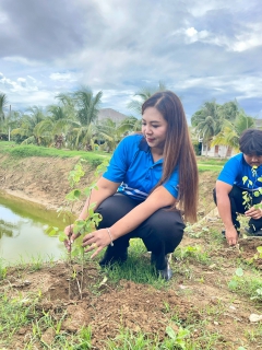 ไฟล์แนบ กปภ.สาขาปราณบุรี  จัดกิจกรรมโครงการ กปภ.ปลูกป่าเพื่อแผ่นดิน เทิดพระเกียรติพระบาทสมเด็จพระบรมชนกาธิเบศร มหาภูมิพลอดุลยเดชมหาราช บรมนาถบพิตร (Fathers Land) ปี 2569