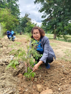 ไฟล์แนบ การประปาส่วนภูมิภาคสาขาเพชรบุรี ดำเนินโครงการ กปภ.ปลูกป่าเพื่อแผ่นดิน