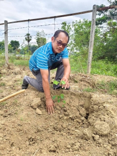 ไฟล์แนบ การประปาส่วนภูมิภาคสาขาเพชรบุรี ดำเนินโครงการ กปภ.ปลูกป่าเพื่อแผ่นดิน