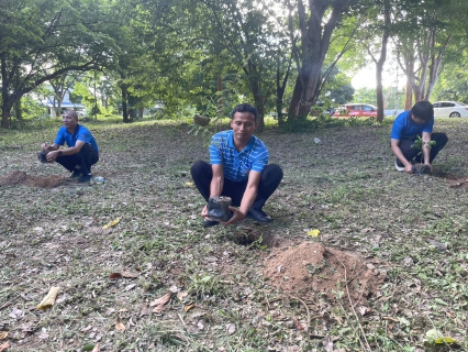 ไฟล์แนบ กปภ. ปลูกป่าเพื่อแผ่นดิน เทิดพระเกียรติพระบาทสมเด็จพระบรมชนกาธิเบศร มหาภูมิพลอดุลยเดชมหาราช บรมนาถบพิตร