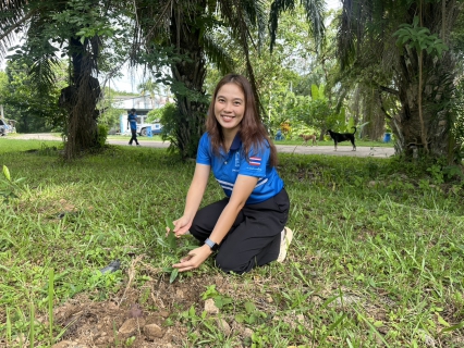 ไฟล์แนบ กปภ.สาขาบางสะพาน จัดกิจกรรมโครงการ กปภ.ปลูกป่าเพื่อแผ่นดิน เทิดพระเกียรติพระบาทสมเด็จพระบรมชนกาธิเบศร มหาภูมิพลอดุลยเดชมหาราช บรมนาถบพิตร (Fathers Land) ปี 2569