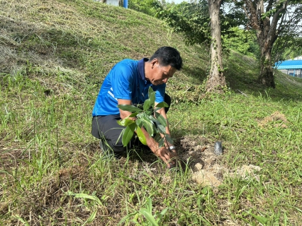 ไฟล์แนบ กปภ.สาขาบางสะพาน จัดกิจกรรมโครงการ กปภ.ปลูกป่าเพื่อแผ่นดิน เทิดพระเกียรติพระบาทสมเด็จพระบรมชนกาธิเบศร มหาภูมิพลอดุลยเดชมหาราช บรมนาถบพิตร (Fathers Land) ปี 2569