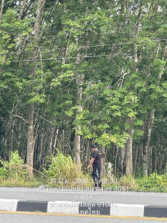 ไฟล์แนบ ภาพประกอบกิจกรรม