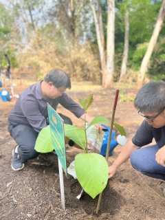 ไฟล์แนบ การประปาส่วนภูมิภาคสาขาลำพูน โดยนายศุภกฤษณ์  จันทร์ศุภเสน ผู้จัดการการประปาส่วนภูมิภาคสาขาลำพูน มอบหมายให้นายวิกรานต์ รักรุ่งโรจน์ หัวหน้างานบริการและควบคุมน้ำสูญเสีย พร้อมพนักงาน เข้าร่วมกิจกรรม วันต้นไม้ประจำปี 2569  วันจันทร์ที่ 15 มิถุนายน 2569 เวลา 09.00 น. ณ บริเวณป่าชุมชนบ้านหนองไซ ตำบลป่าสัก อำเภอเมืองลำพูน จังหวัดลำพูน นายปิยพงศ์ ชูวงศ์ ผู้ว่าราชการจังหวัดลำพูน มอบหมายให้นายโยธิน ประสงค์ความดี รองผู้ว่าราชการจังหวัดลำพูน เป็นประธานเปิดกิจกรรมวันต้นไม้ประจำปีของชาติ พ.ศ.2569