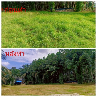 ไฟล์แนบ กปภ.สาขาเวียงสระ ร่วมกิจกรรม 5 ส. สร้างความสะอาด เป็นระเบียบ และน่าอยู่