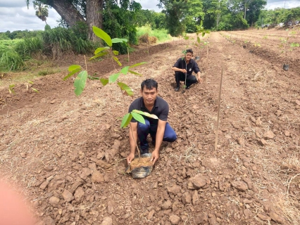 ไฟล์แนบ กปภ.สาขาสวรรคโลก ร่วมกิจกรรมจิตอาสาพัฒนาในโอกาสวันสำคัญของชาติไทย เนื่องในวันคล้ายวันประสูติสมเด็จพระเจ้าน้องนางเธอ เจ้าฟ้าจุฬาภรณวลัยลักษณ์ อัครราชกุมารี กรมพระศรีสวางควัฒน วรขัตติยราชนารี 
