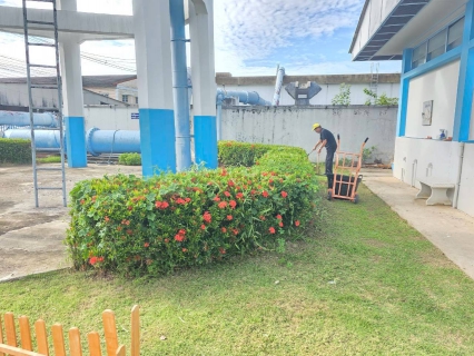 ไฟล์แนบ กปภ.สาขาสามพรานร่วมกิจกรรมตัดหญ้าและตัดแต่งกิ่งไม้ ปรับปรุงภูมิทัศน์รอบสำนักงาน