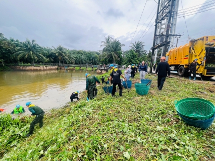 ไฟล์แนบ การประปาส่วนภูมิภาคสาขาคลองท่อมเข้าร่วมโครงการรวมพลังจิตอาสา ประชารัฐร่วมใจ กำจัดผักตบชวา พัฒนาคลองสินปุน