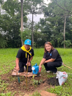 ไฟล์แนบ กปภ.สาขาพิจิตร ร่วมกิจกรรมจิตอาสาปลูกต้นไม้ เนื่องในวันคล้ายวันพระราชสมภพสมเด็จพระนางเจ้าสิริกิติ์ พระบรมราชินีนาถ พระบรมราชชนนีพันปีหลวง และวันแม่แห่งชาติ 12 สิงหาคม 2569