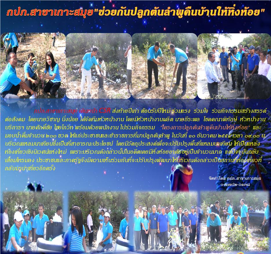 กปภ.สาขาเกาะสมุย "ช่วยกันปลูกต้นลำพูคืนบ้านให้หิ่งห้อย "