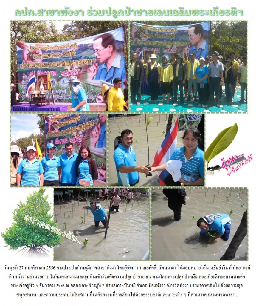 กปภ.สาขาพังงา ร่วมกิจกรรมปลูกป่าเฉลิมพระเกียรติพระบาทสมเด็จพระเจ้าอยู่หัว
