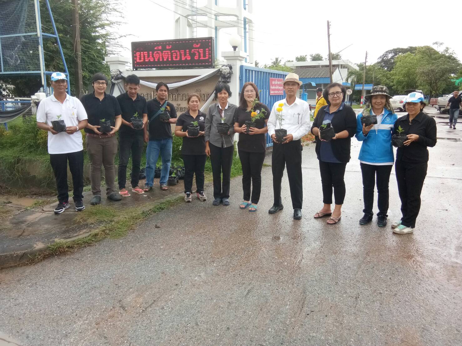กปภ.สาขาชัยภูมิ ปลูกต้นดาวเรืองเทิดพระเกียรติฯลฯ