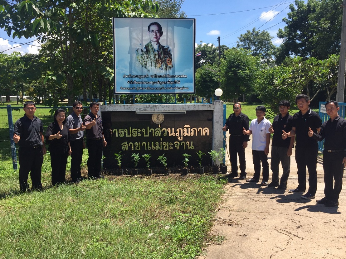 โครงการ ปลูกดอกดาวเรืองเพื่อพ่อ