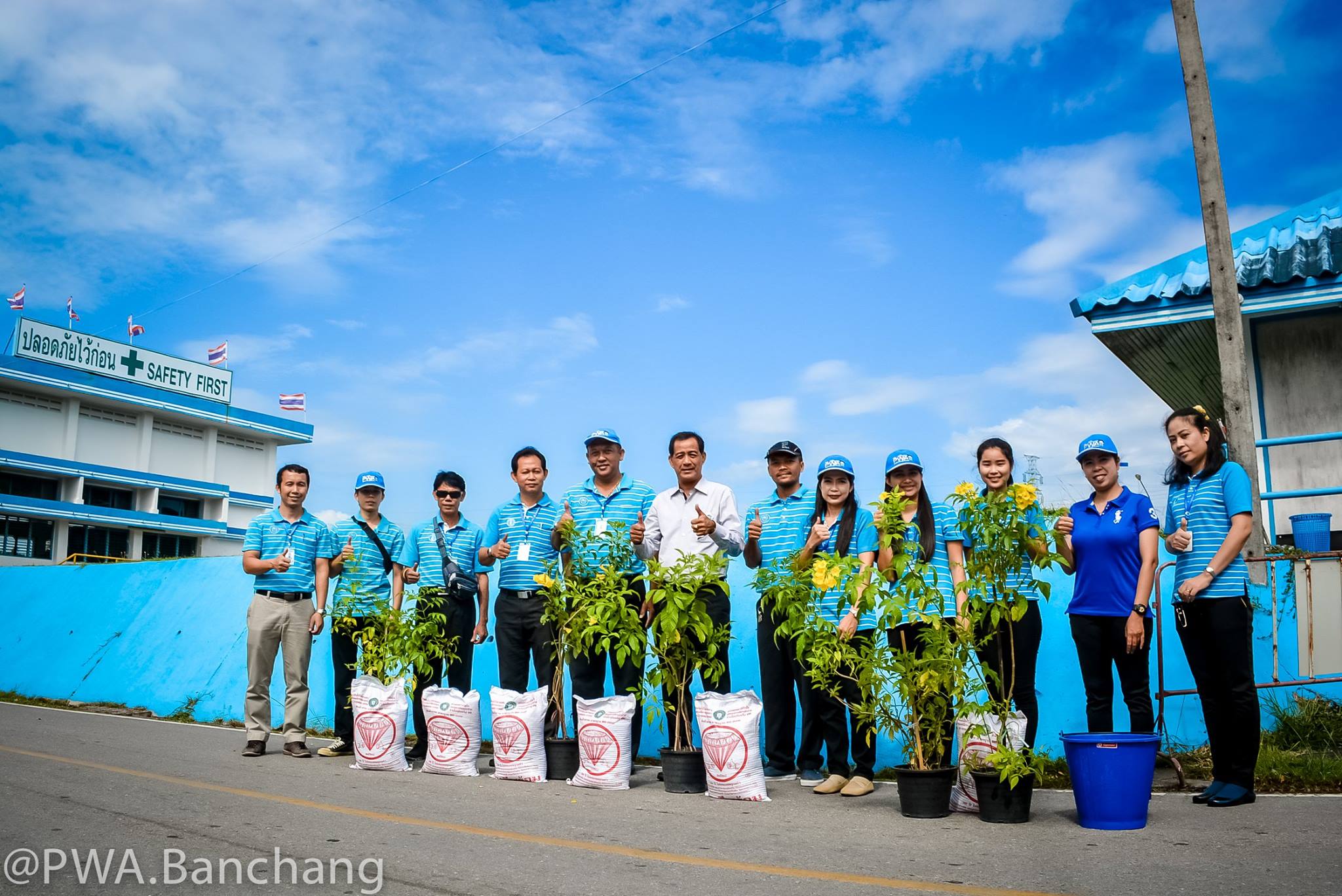 ประปาบ้านฉาง ร่วมใจปลูกต้นไม้บริณสำนักงาน เนื่องในวันรักต้นไม้ประจำปีของชาติ