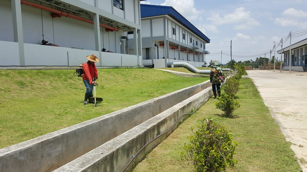 กปภ.สาขาปทุมธานี จัดกิจกรรม Big Cleaning Day และ 5 ส. บริเวณรอบสำนักงาน และสถานีผลิตน้ำวัดชัยสิทธาวาส ประจำเดือนมิถุนายน 2561
