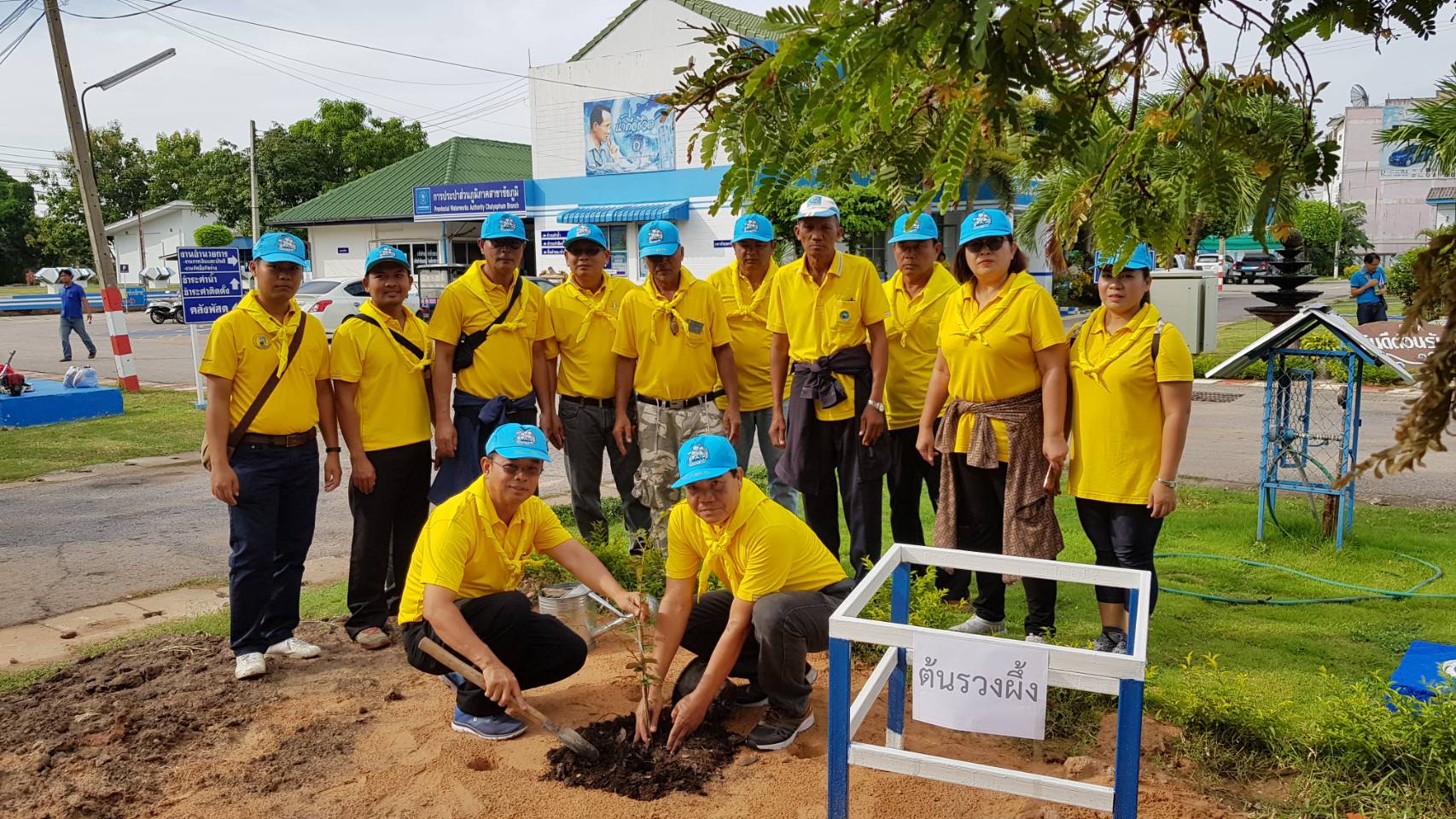 การประปาส่วนภูมิภาคสาขาชัยภูมิ ร่วมกิจกรรมปลูกต้นรวมผึ้ง และกิจกรรม จิตอาสา "เราทำความ ดี ด้วยใจ"  ภายในพื้นที่เขตอุทยานแห่งชาติตาดโตน