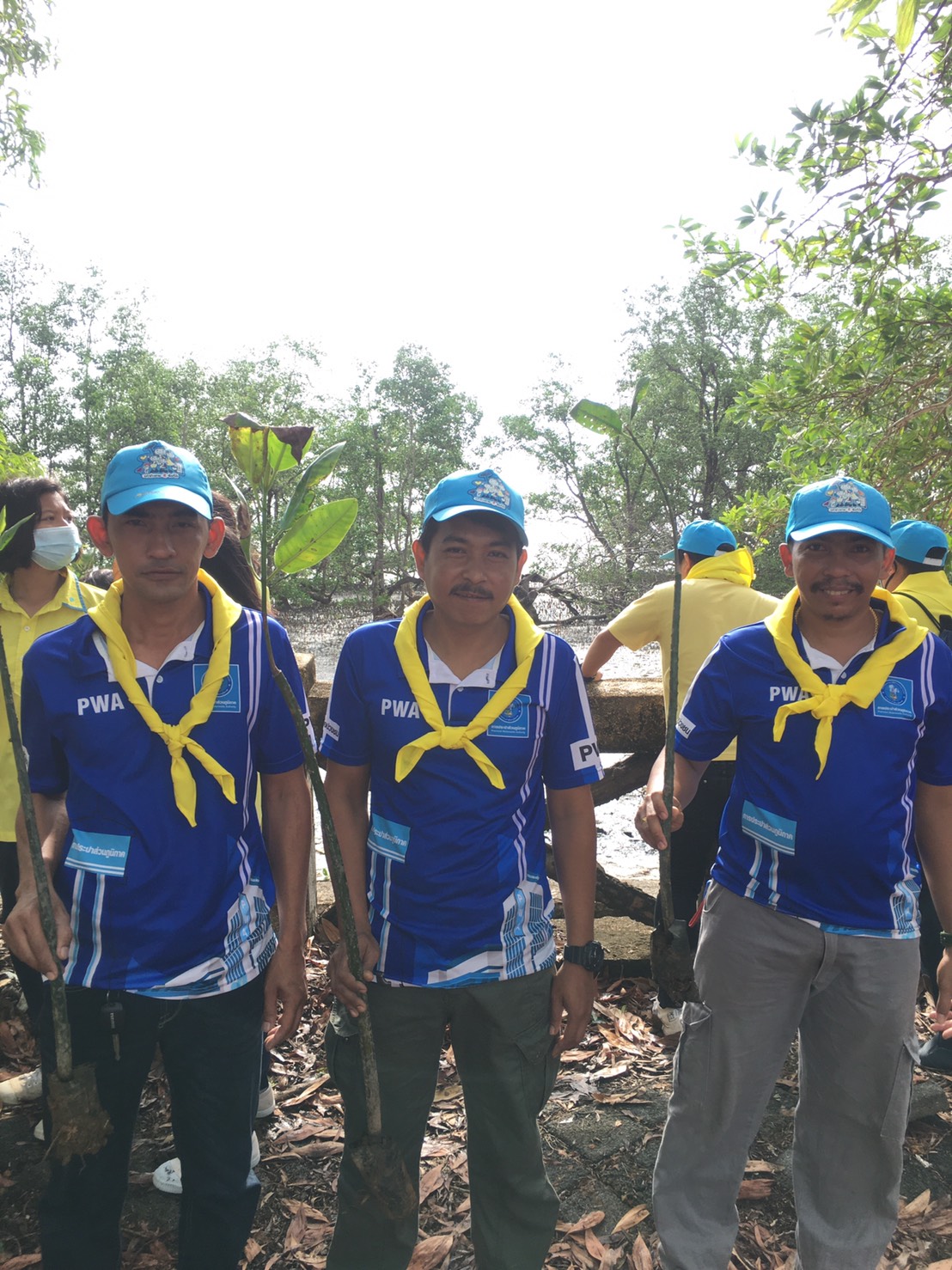 กปภ.สาขาภูเก็ต เข้าเข้าร่วมกิจกรรมจิตอาสาพัฒนา ปลูกป่าชายเลนเฉลิมพระเกียรติฯ เนื่องในวันคล้ายวันพระราชสมภพสมเด็จพระกนิษฐาธิราชเจ้า กรมสมเด็จพระเทพรัตนราชสุดาฯ สยามบรมราชกุมารี