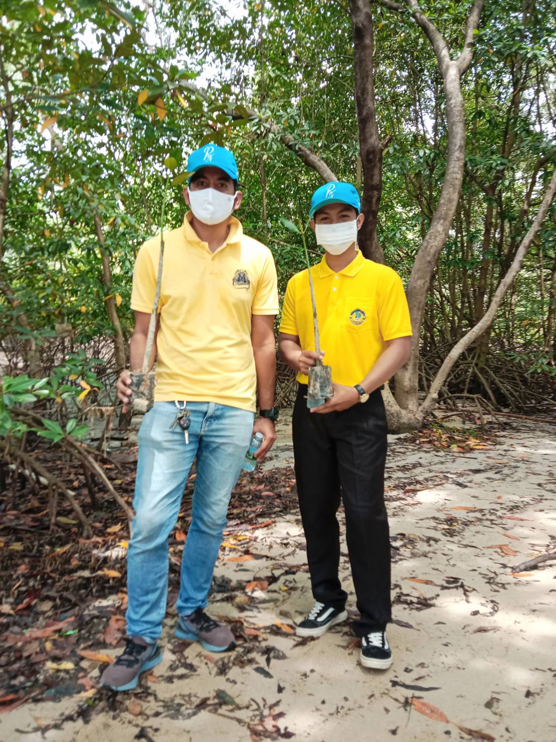 กปภ.สาขาภูเก็ต เข้าร่วมโครงการ จิตอาสารักษ์ป่าชายเลนเฉลิมพระเกียรติ