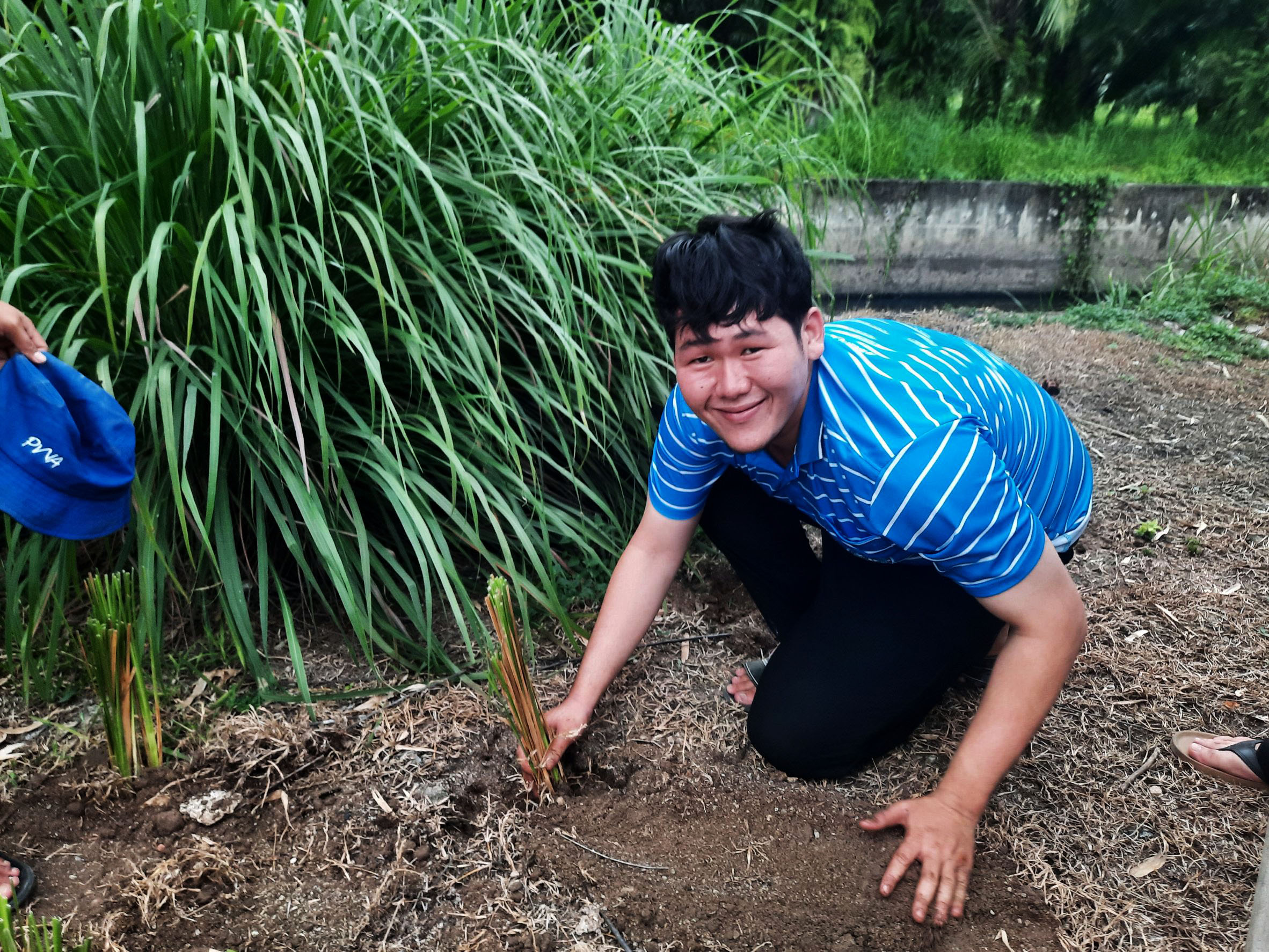 การประปาส่วนภูมิภาคสาขาบ้านบึง ร่วมกิจกรรม วันรักต้นไม้ประจำปีของชาติ