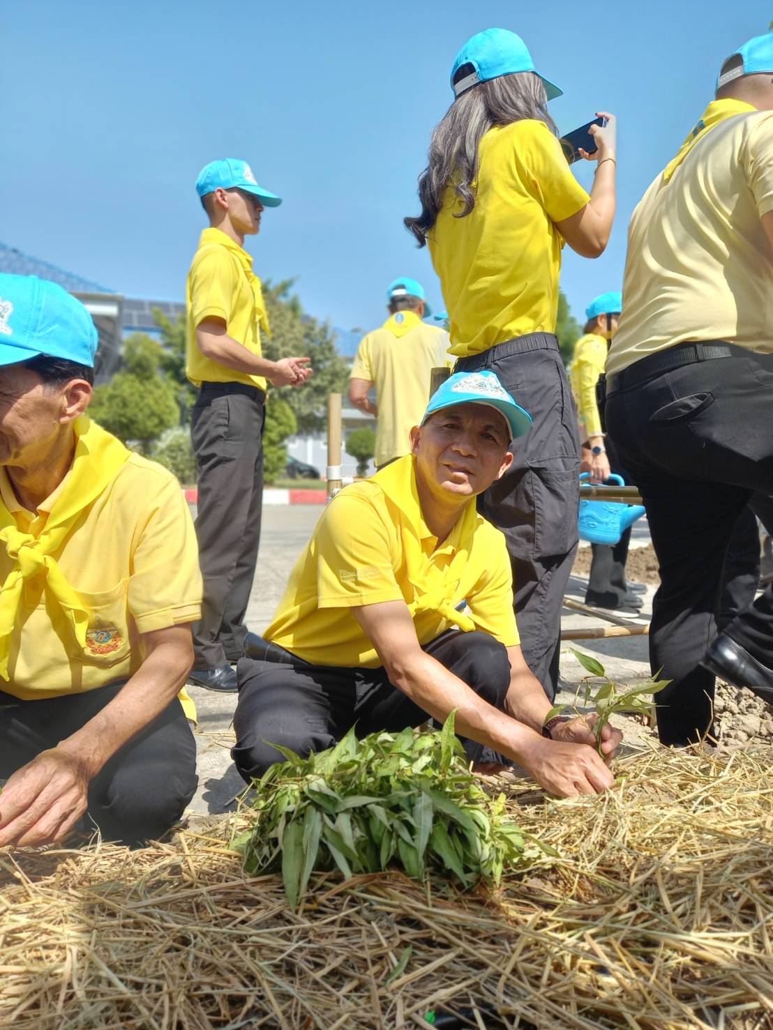กปภ.สาขาอ้อมน้อย ร่วมประชุมประจำเดือนธันวาคม 2567 พร้อมร่วมกิจกรรมจิตอาสาพัฒนา ล้อมรั้วด้วยรัก ปลูกผักหน้าอำเภอ ภายใต้กิจกรรม วันดินโลก ปี 2567 (World Soil Day 2024)