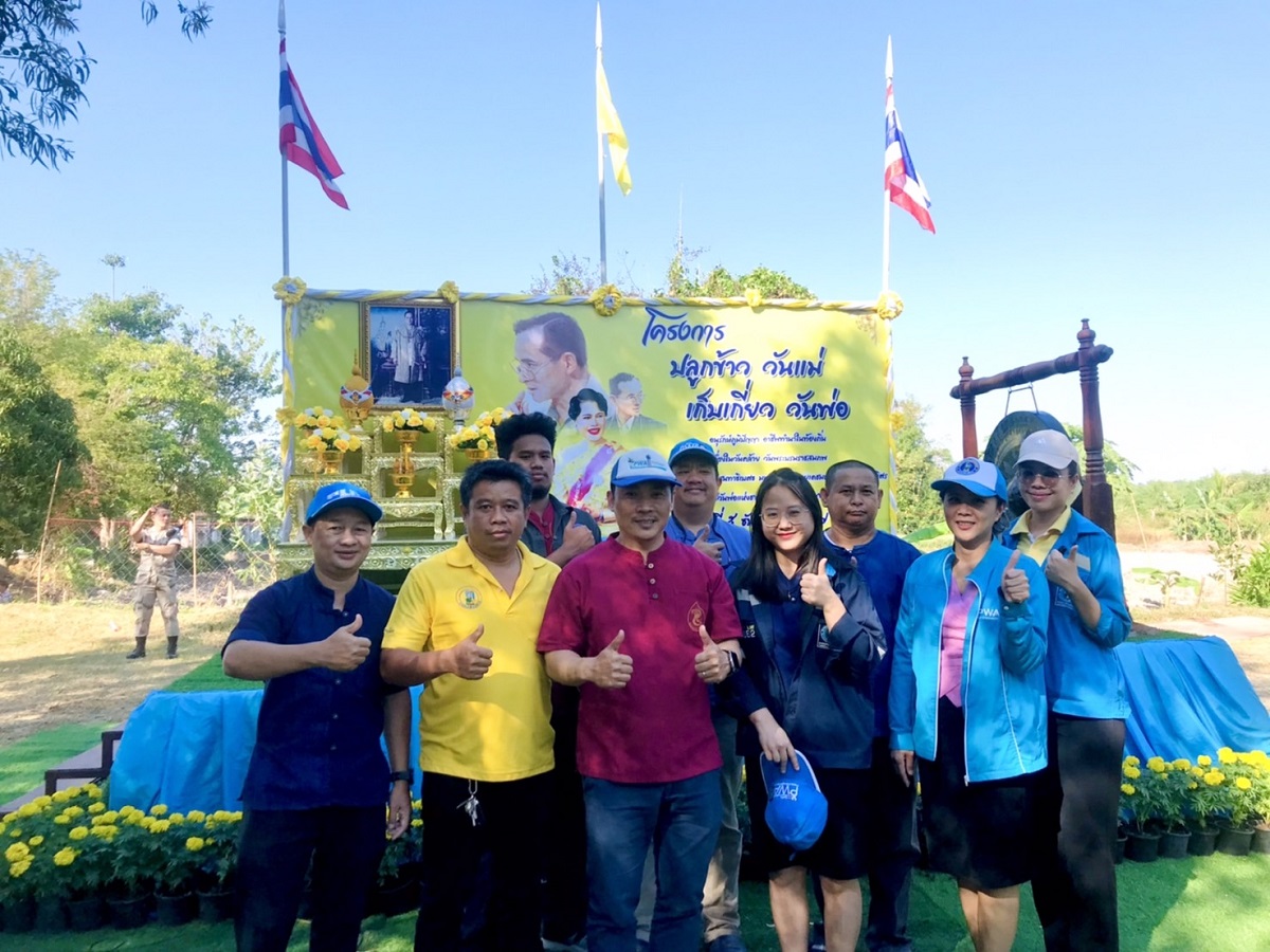 กปภ.สาขาพัทยา(พ) เข้าร่วมโครงการปลูกข้าววันแม่ เก็บเกี่ยววันพ่อ ประจำปี ๒๕๖๗
