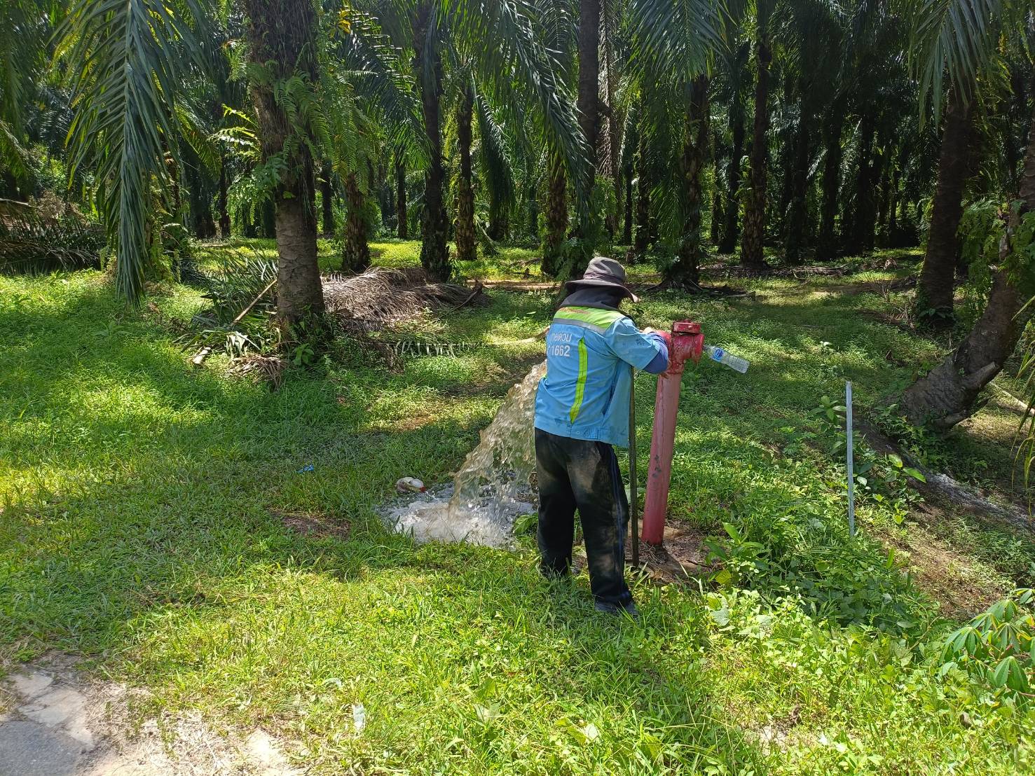 กปภ.สาขาคลองท่อมดำเนินการเปิดล้างระบายตะกอนในเส้นท่อจ่ายน้ำ (Blow off) ผ่านหัวดับเพลิง