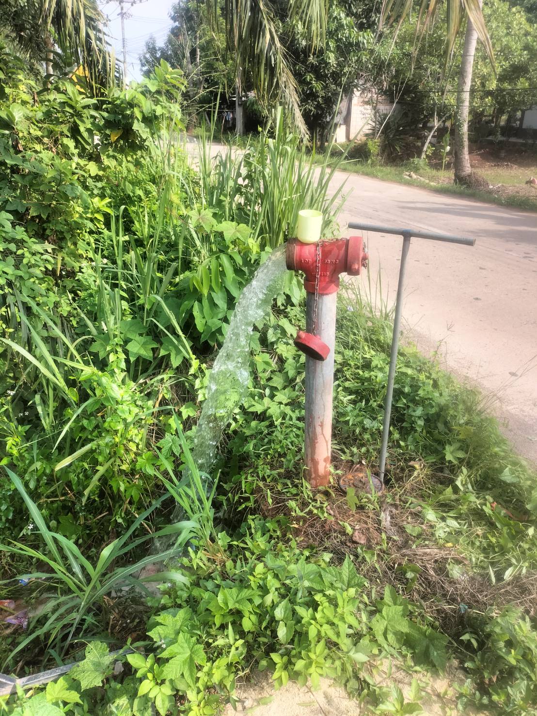 การประปาส่วนภูมิภาคสาขากาญจนดิษฐ์ นำทีมลงพื้นที่บริเวณหมู่บ้านนาราวิลล่า 3  ต.ทุ่งกง อ.กาญจนดิษฐ์ จ.สุราษฎร์ธานี ดำเนินการเปิดล้างระบายตะกอนในเส้นท่อจ่ายน้ำ (Blow off) ผ่านหัวดับเพลิง