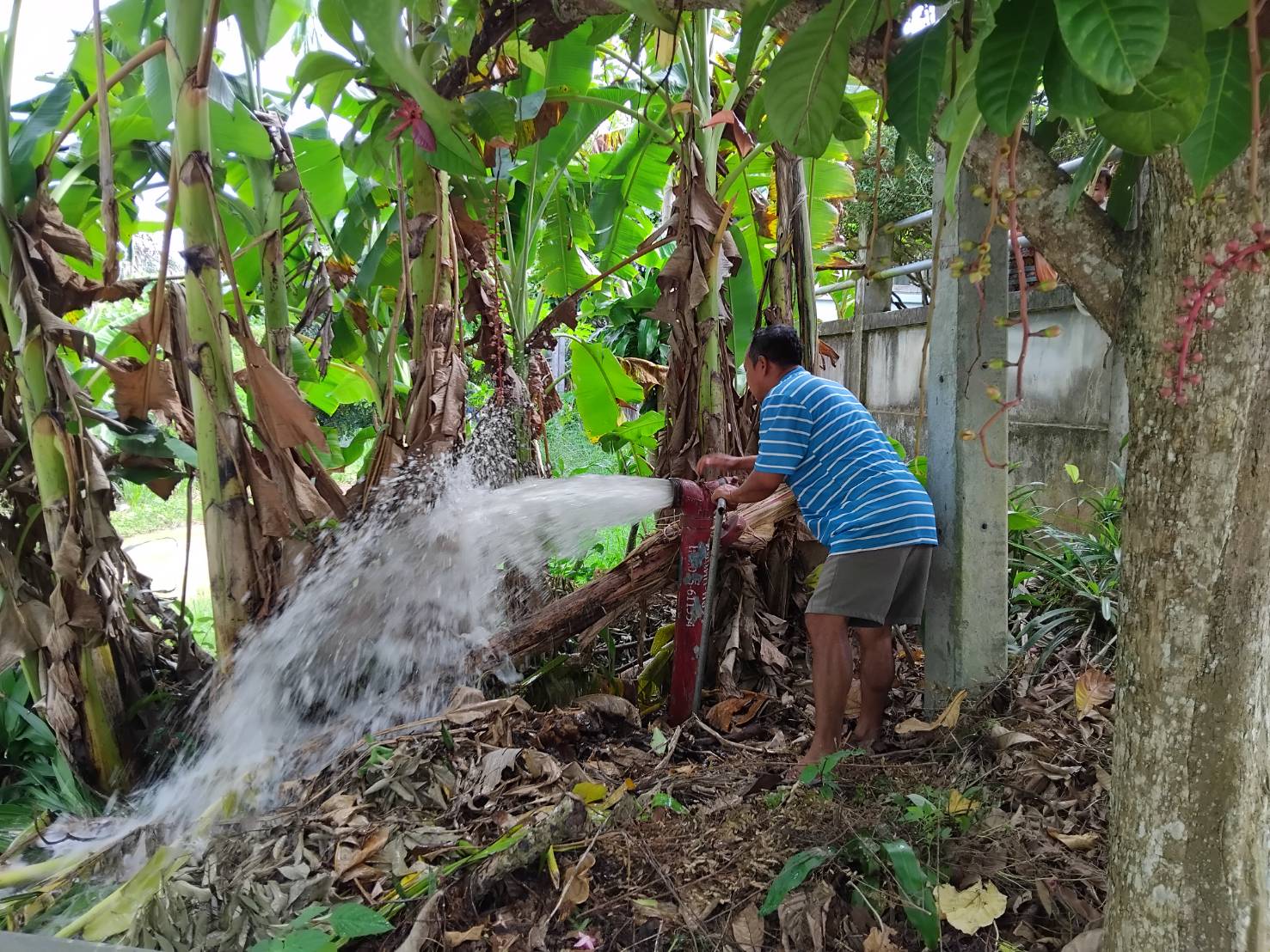 กปภ.สาขากระบี่ ดำเนินการตามแผนงานบริการและควบคุมน้ำสูญเสีย โบล์วน้ำเพื่อระบายตะกอนในเส้นท่อ บริเวณพื้นที่ ซอย 31 ตำบลปากน้ำ อำเภอเมืองกระบี่ จังหวัดกระบี่