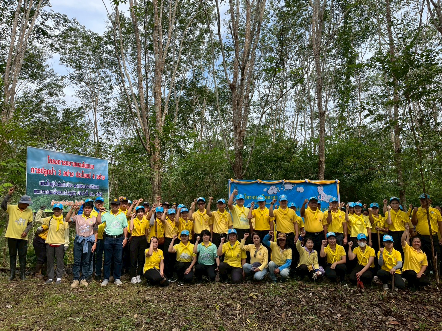 ปลูกป่า 3 อย่าง ประโยชน์ 4 อย่าง 1 ล้านไร่