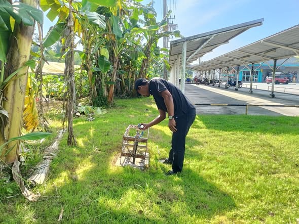 การประปาส่วนภูมิภาคสาขาคลองท่อมสุ่มอ่านมาตร การประปาส่วนภูมิภาค ประจำเดือนพฤศจิกายน 2568