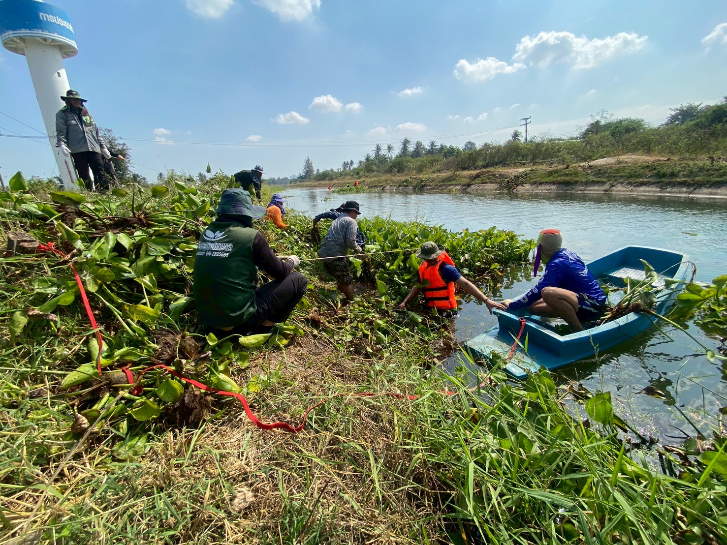 การประปาส่วนภูมิภาคสาขาเพชรบุรี ร่วมกันกำจัดวัชพืชและผักตบชวาในคลองชลประทาน