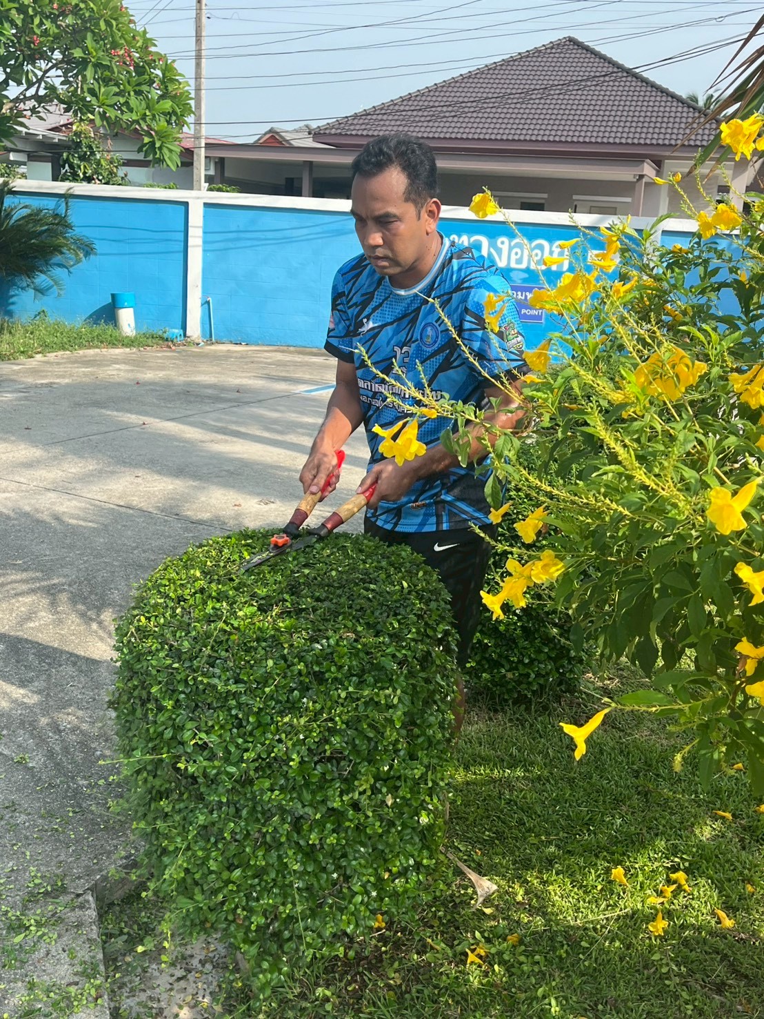 กปภ.สาขาสามพราน ร่วมกิจกรรมตัดหญ้าและตัดแต่งกิ่งไม้ ปรับปรุงภูมิทัศน์รอบสำนักงาน