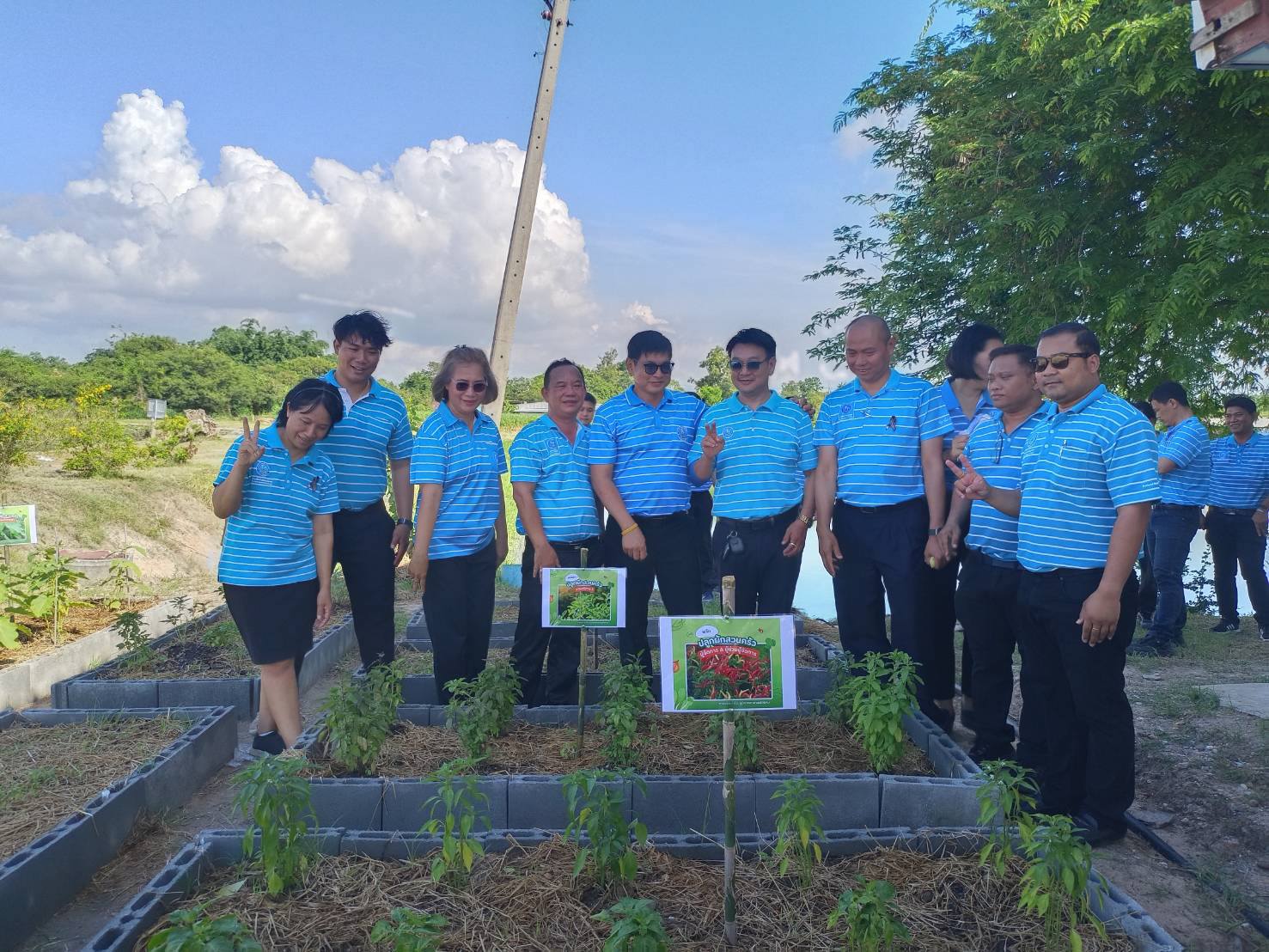 กปภ.สาขาพนัสนิคม จัดทำโครงการ "ปลูกผักสวนครัวรั้ว กปภ ...เพิ่มพื้นที่สีเขียว"