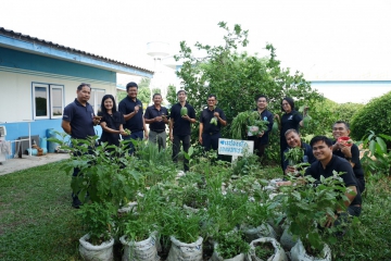 กปภ.สาขาปักธงชัย ใจดี! จัดกิจกรรม "แจกผักสดฟรี" เพียงโหลดแอปฯ PWA Plus Life หรือเพิ่มเพื่อน Line Official Accoun
